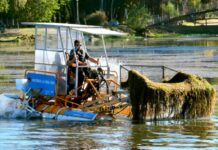 El Comité de Cuenca gestiona la compra de una cosechadora anfibia para limpieza del río