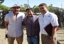 Aristi-Borsalino negocios ganaderos: Un final con sabor a comienzo