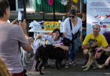 Se realizó el primer festival mascotero en Mercedes