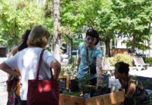 Se realizó la feria agroecológica en Plaza San Martín