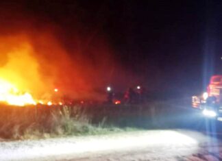 Incendio de campo