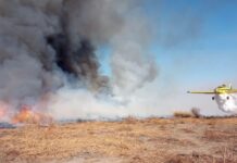 Bomberos intentan controlar incendio forestal en Ruta 5