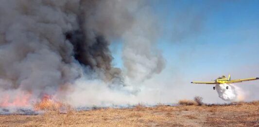 Bomberos intentan controlar incendio forestal en Ruta 5