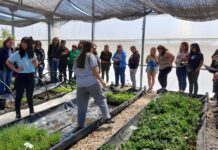 Estudiantes de la Universidad de Hurlingham visitaron el vivero municipal