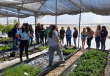 El vivero recibió las visitas de estudiantes de Universidad de Hurlingham