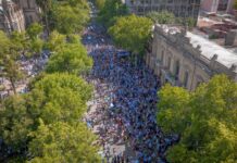El fútbol hizo vibrar a toda la ciudad: Argentina Campeón Mundial