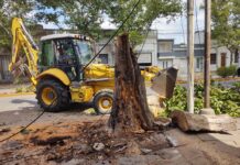 Mercedes y la región sufrieron consecuencias por temporal de agua y viento