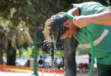 El SMN avisa sobre posible ola de calor: máximas de 40 grados para los próximos días