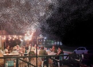 …Y un día la peatonal llegó a Las Catorce!