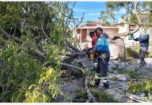 Tragedia: fallece electrocutado menor de 9 años