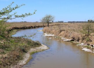 Una importante inversión permitirá la creación de un parque ribereño en Suipacha