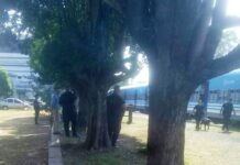 Amenazas de bombas en formaciones ferroviarias