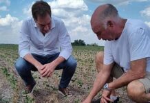 Santilli cuestionó la “inacción” de Kicillof y dijo que en las malas “siempre se borra”