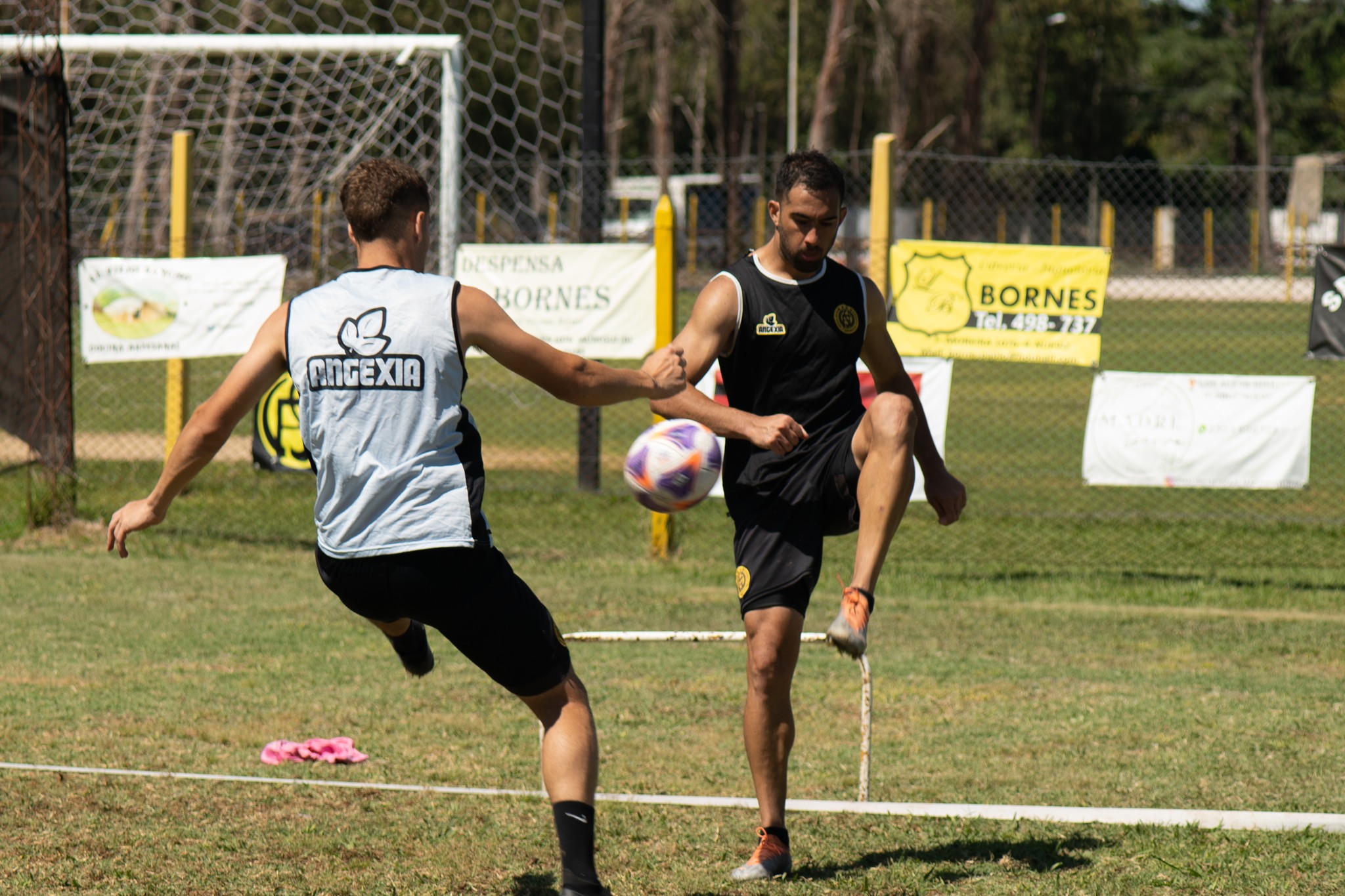 flandria