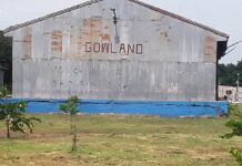 Gowland cumple 135 años y prepara un gran festejo