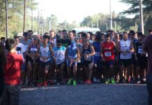 Gowland vuelve a tener su carrera