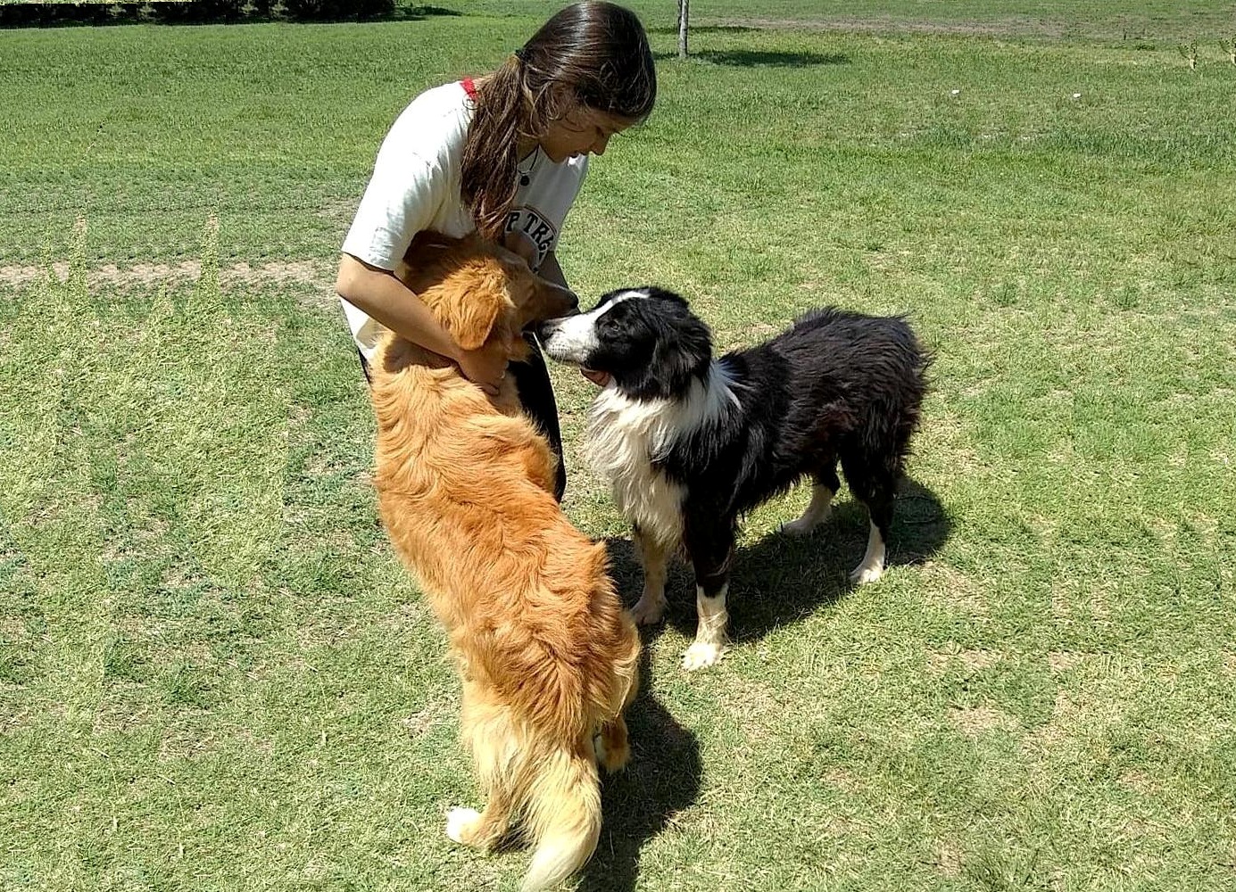 Adoptados