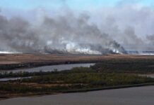 El olor a quemado por el fuego forestal llegó a Mercedes