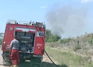 Incendio de campo en camino real