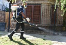 La Provincia advierte que se atraviesa el pico máximo de dengue y chikungunya