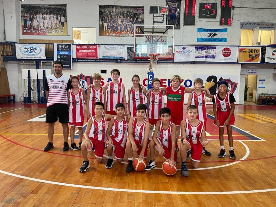 basquet cat. Mini