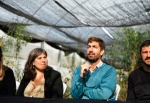Municipio anuncia ambicioso plan de forestación en la ciudad