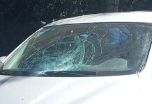 Piedras en el camino: Preocupan ataques en Ruta 5