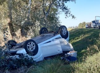 Vuelco sobre Ruta 5