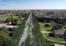 Licitan la obra de doble mano para la Avenida de los Inmigrantes
