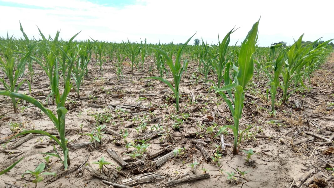 SEQUIA