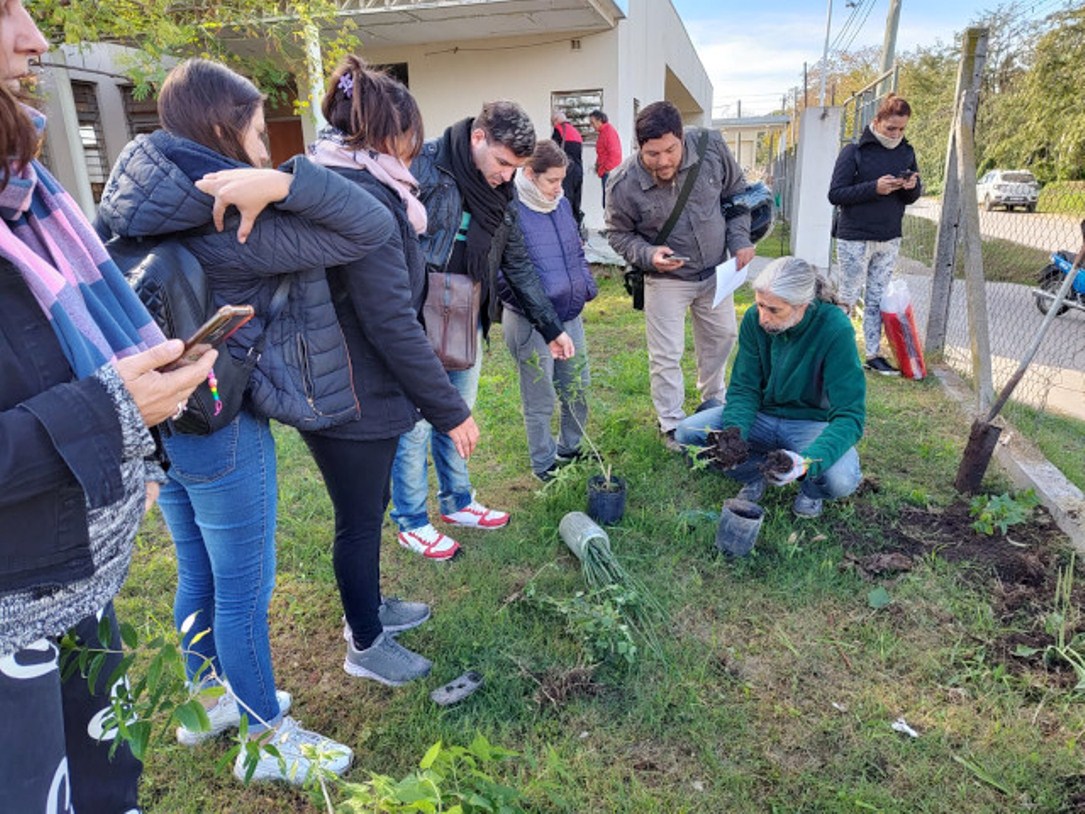 05-06-23 UNLU PLANTAS