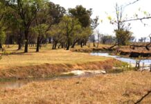 Licitan mejoras en el paseo ribereño de Suipacha del Arroyo Los Leones