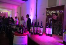 Se viene la 4º edición del Paseo del Vino