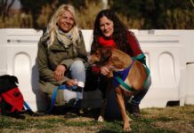 Se viene una nueva jornada de adopción de perros adultos en La Trocha