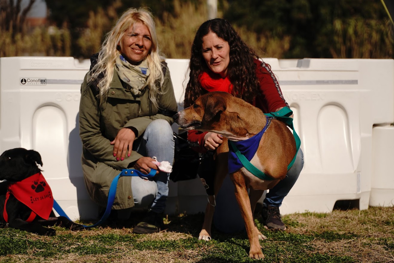 Jornada de adopcion en La Trocha