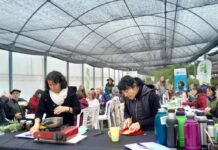 Invitan a taller de plantas medicinales