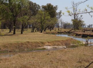 Un anhelado proyecto: Llaman a licitación para mejoras en el Parque Baroni