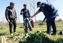 Siguen plantando ejemplares en el Bosque de la Educación