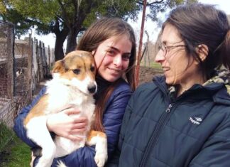 Una nueva historia de amor: Jacinta encontró un hogar