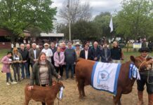 La Expo Rural 2023 superó las expectativas
