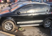 Mercedino engañado por peligrosa viuda negra
