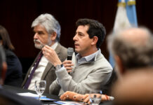 Wado de Pedro llamó a generar un proyecto de unidad nacional