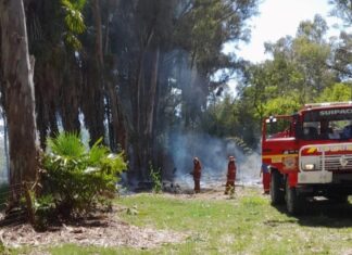 Incendio de campo