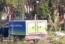 Caso Ricci: vecino sindicado por el hecho solicitó eximición de prisión