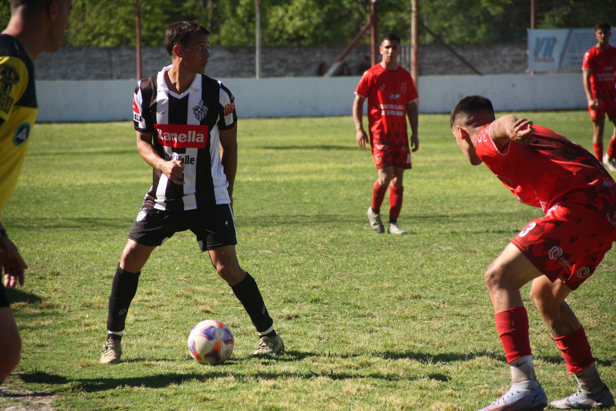 primera d1