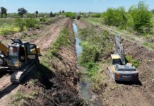 Realizan limpieza en la desembocadura del canal de la 16