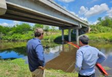 Colocaron una barrera sanitaria en el Río Luján para retener residuos