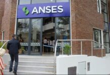 Semana clave para las nuevas autoridades de ANSES