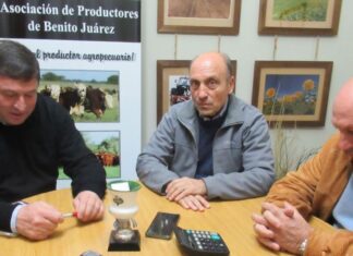 «Claramente vivimos en una incertidumbre e improvisación que es peor»
