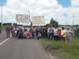 Ya son 98 los casos de Encefalomielitis Equina en la provincia